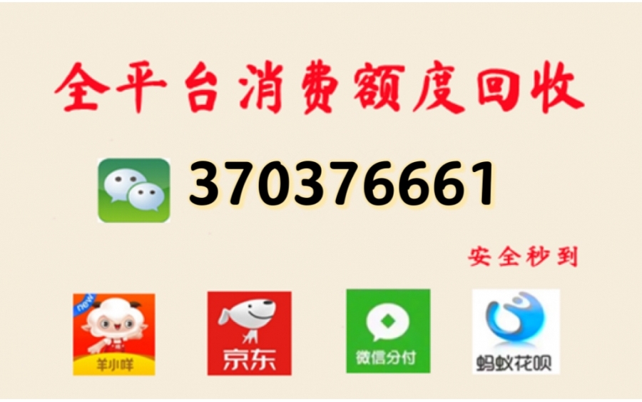 小额借款解决办法